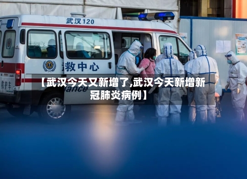 【武汉今天又新增了,武汉今天新增新冠肺炎病例】-第3张图片