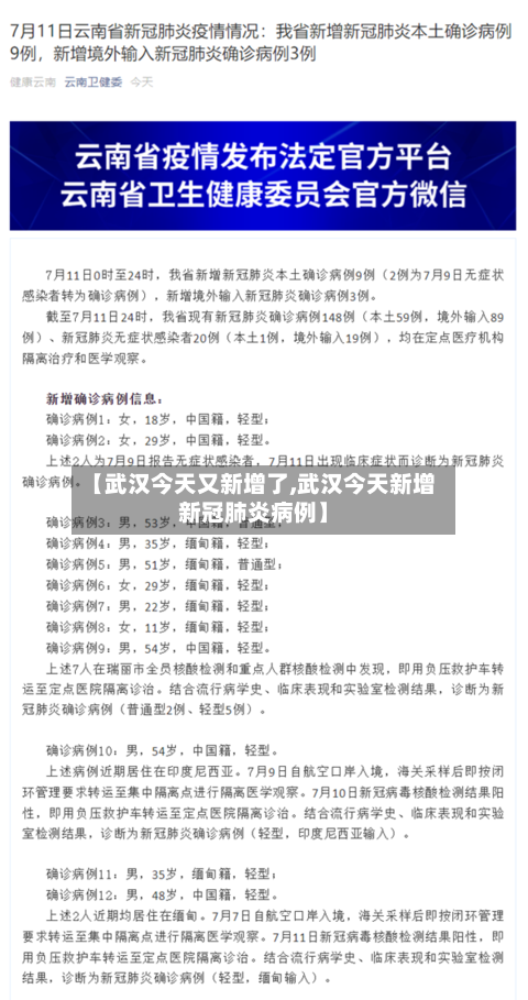 【武汉今天又新增了,武汉今天新增新冠肺炎病例】-第2张图片