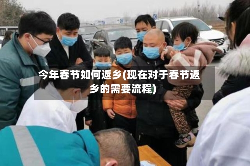 今年春节如何返乡(现在对于春节返乡的需要流程)