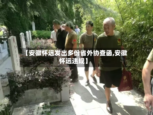 【安徽怀远发出多份省外协查函,安徽怀远违规】