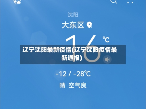 辽宁沈阳最新疫情(辽宁沈阳疫情最新通报)