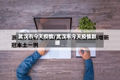 武汉市今天疫情/武汉市今天疫情数据-第3张图片
