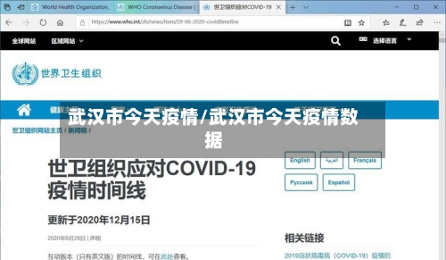 武汉市今天疫情/武汉市今天疫情数据-第2张图片