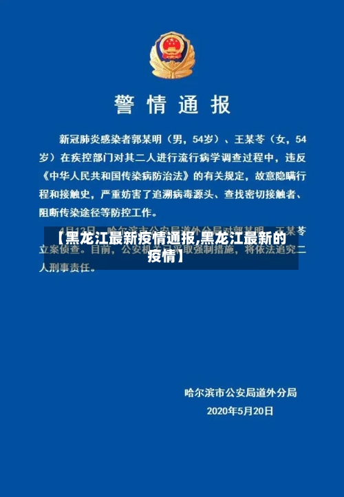 【黑龙江最新疫情通报,黑龙江最新的疫情】-第2张图片