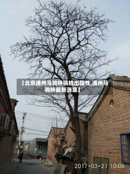 【北京通州马驹桥镇检出阳性,通州马驹桥最新消息】-第3张图片