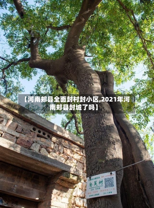 【河南郏县全面封村封小区,2021年河南郏县封城了吗】-第3张图片