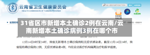 31省区市新增本土确诊2例在云南/云南新增本土确诊病例3例在哪个市-第2张图片