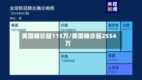 美国确诊超115万/美国确诊超2554万-第2张图片