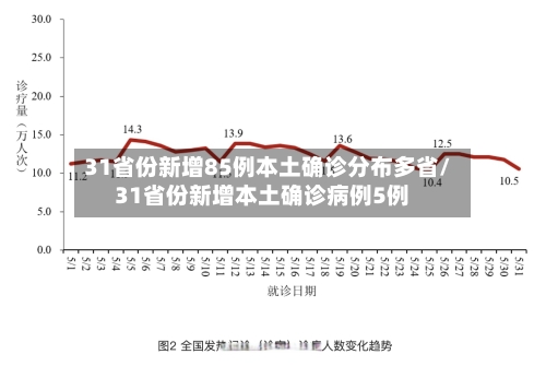 31省份新增85例本土确诊分布多省/31省份新增本土确诊病例5例