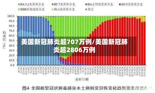 美国新冠肺炎超707万例/美国新冠肺炎超2806万例