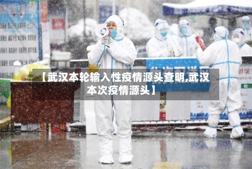 【武汉本轮输入性疫情源头查明,武汉本次疫情源头】-第2张图片