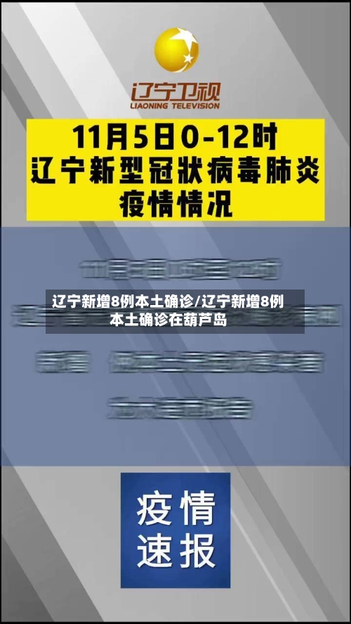 辽宁新增8例本土确诊/辽宁新增8例本土确诊在葫芦岛-第2张图片