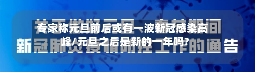 专家称元旦前后或有一波新冠感染高峰/元旦之后是新的一年吗?