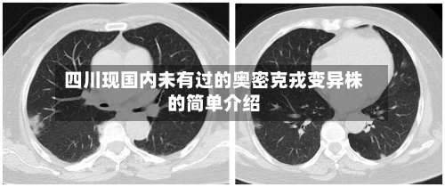 四川现国内未有过的奥密克戎变异株的简单介绍