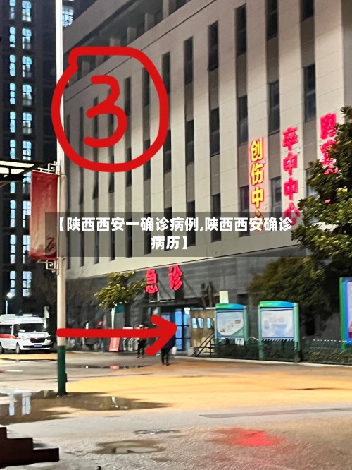 【陕西西安一确诊病例,陕西西安确诊病历】