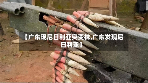 【广东现尼日利亚突变株,广东发现尼日利亚】