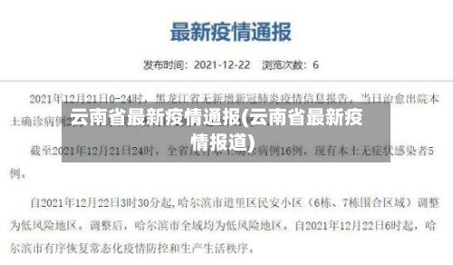 云南省最新疫情通报(云南省最新疫情报道)