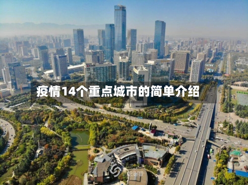 疫情14个重点城市的简单介绍-第2张图片