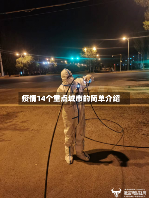 疫情14个重点城市的简单介绍