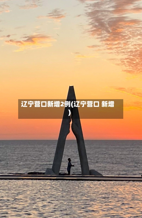 辽宁营口新增2例(辽宁营口 新增)-第3张图片