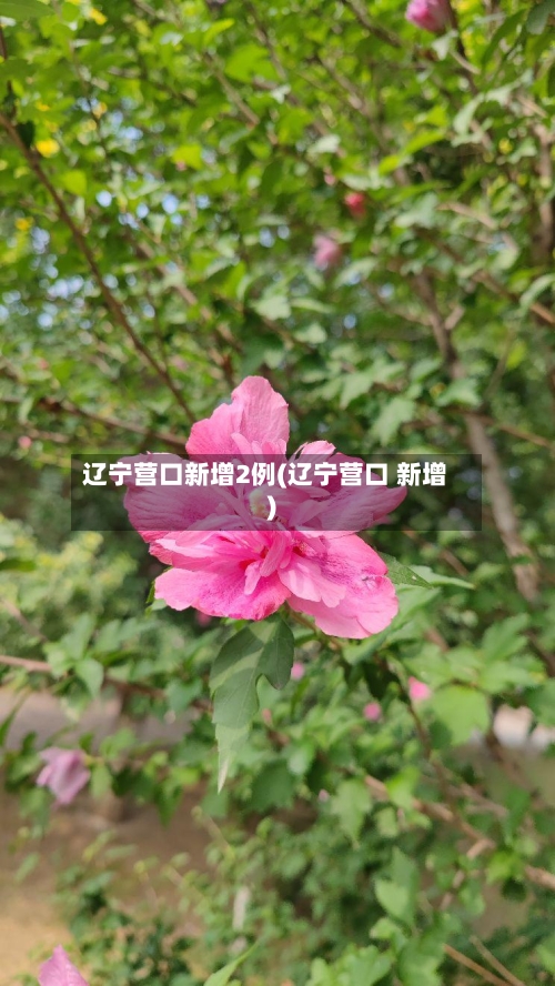 辽宁营口新增2例(辽宁营口 新增)