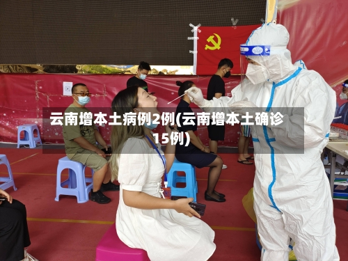 云南增本土病例2例(云南增本土确诊15例)-第2张图片