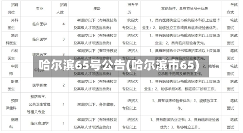 哈尔滨65号公告(哈尔滨市65)-第2张图片