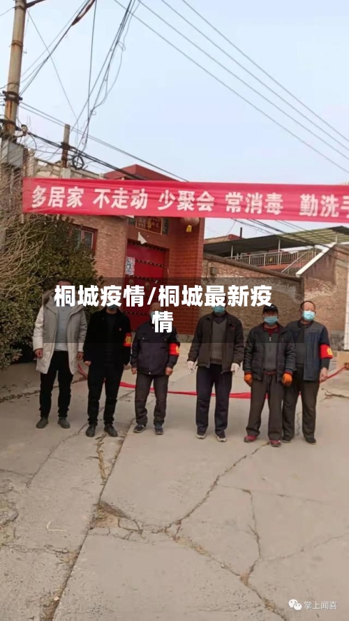 桐城疫情/桐城最新疫情-第2张图片