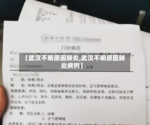 【武汉不明原因肺炎,武汉不明原因肺炎病例】-第2张图片