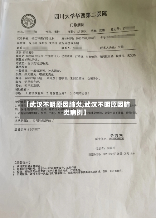 【武汉不明原因肺炎,武汉不明原因肺炎病例】