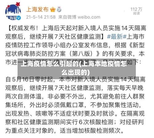 上海疫情怎么引起的(上海本地疫情怎么出现的)-第3张图片