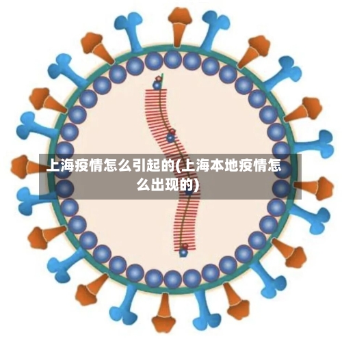 上海疫情怎么引起的(上海本地疫情怎么出现的)-第2张图片
