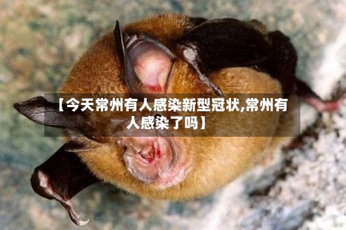 【今天常州有人感染新型冠状,常州有人感染了吗】-第3张图片