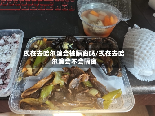 现在去哈尔滨会被隔离吗/现在去哈尔滨会不会隔离
