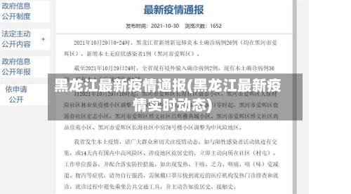 黑龙江最新疫情通报(黑龙江最新疫情实时动态)-第2张图片