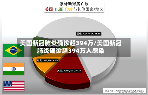 美国新冠肺炎确诊超394万/美国新冠肺炎确诊超394万人感染-第2张图片
