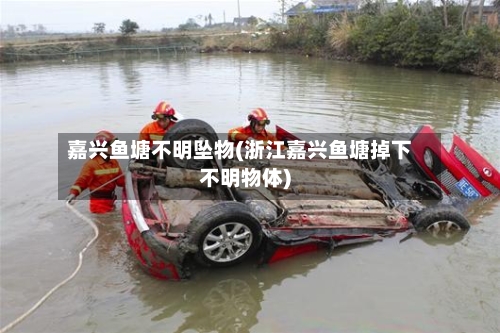 嘉兴鱼塘不明坠物(浙江嘉兴鱼塘掉下不明物体)-第2张图片