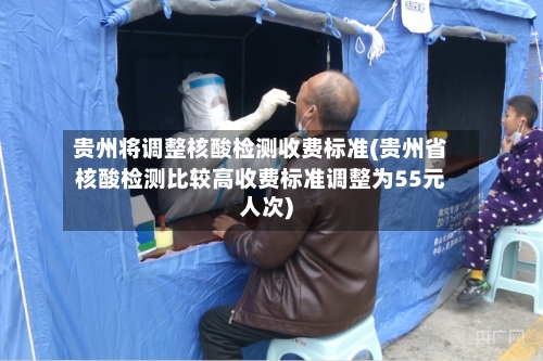 贵州将调整核酸检测收费标准(贵州省核酸检测比较高收费标准调整为55元人次)-第2张图片