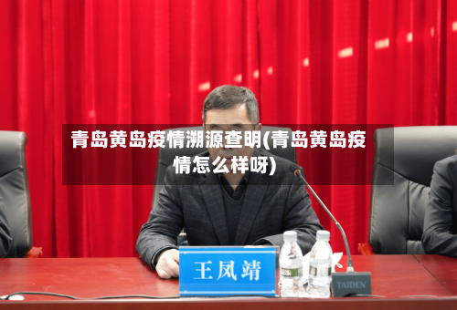 青岛黄岛疫情溯源查明(青岛黄岛疫情怎么样呀)-第2张图片