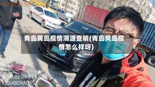 青岛黄岛疫情溯源查明(青岛黄岛疫情怎么样呀)-第3张图片