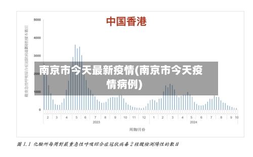 南京市今天最新疫情(南京市今天疫情病例)-第2张图片