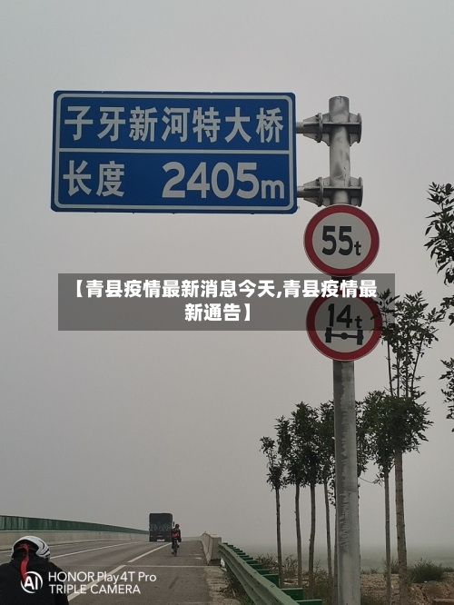 【青县疫情最新消息今天,青县疫情最新通告】-第2张图片