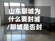 山东聊城为什么要封城/聊城是否封城了-第2张图片