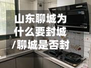 山东聊城为什么要封城/聊城是否封城了-第3张图片