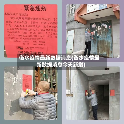 衡水疫情最新数据消息(衡水疫情最新数据消息今天新增)-第2张图片