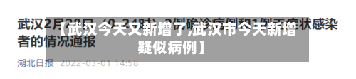 【武汉今天又新增了,武汉市今天新增疑似病例】-第3张图片