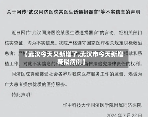 【武汉今天又新增了,武汉市今天新增疑似病例】-第2张图片