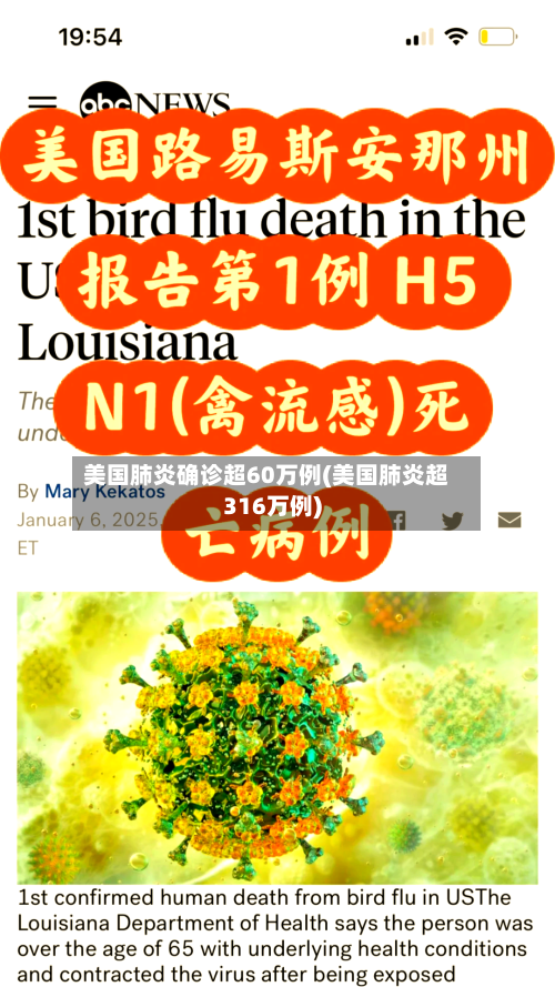 美国肺炎确诊超60万例(美国肺炎超316万例)-第2张图片