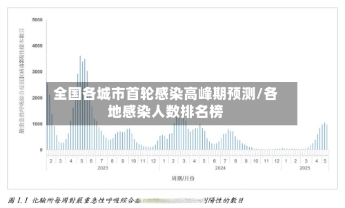 全国各城市首轮感染高峰期预测/各地感染人数排名榜-第2张图片