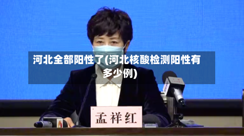 河北全部阳性了(河北核酸检测阳性有多少例)-第2张图片